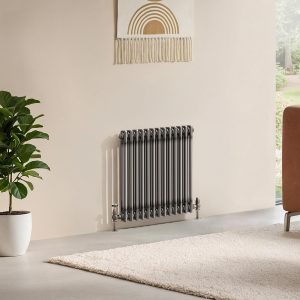 Cast Iron Style 2 Column Radiator
